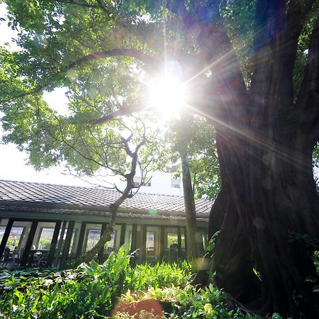 The Raweekanlaya Bangkok Exteriér fotografie The greenhouse at the University of Washington Botanic Garden