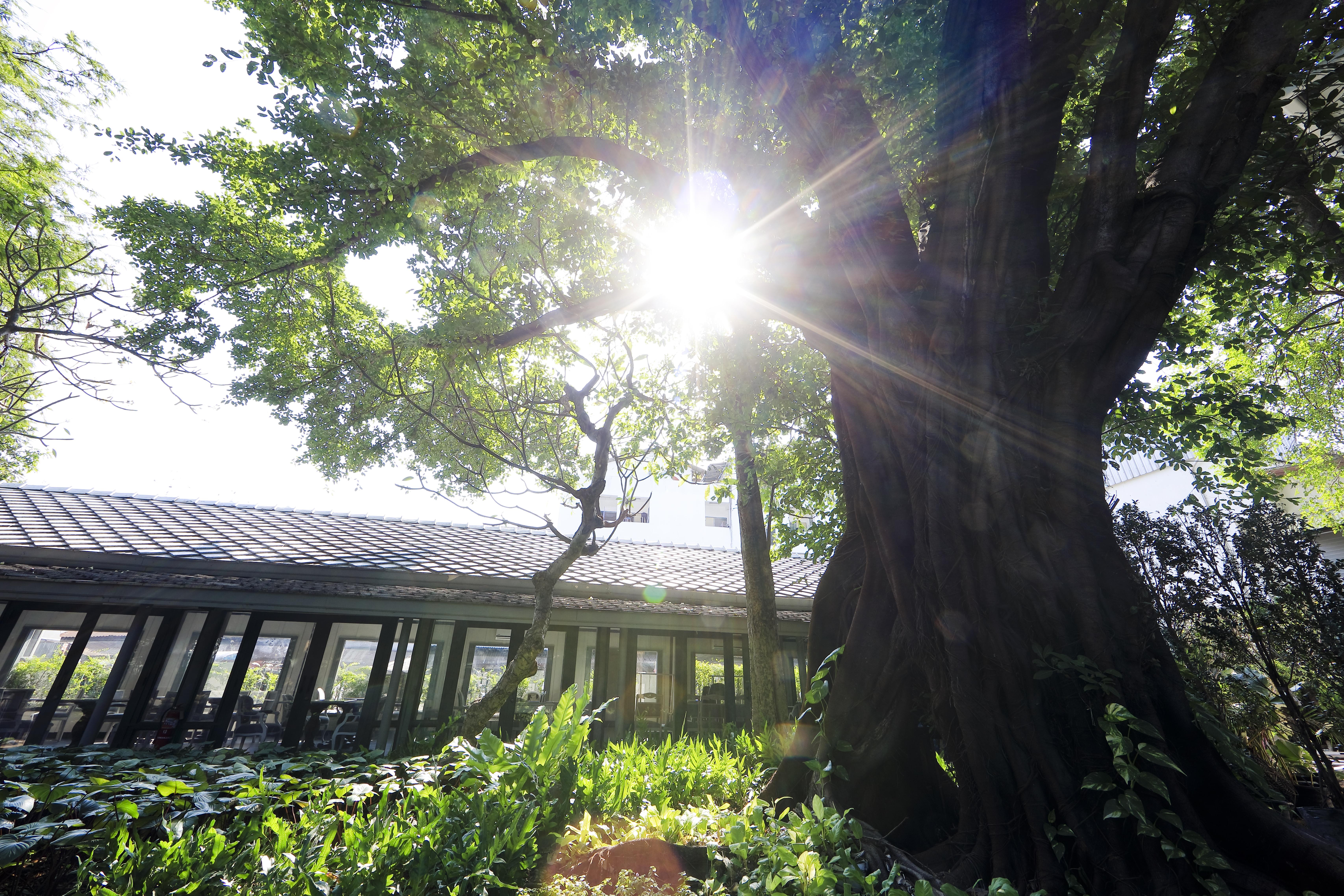 The Raweekanlaya Bangkok Exteriér fotografie The greenhouse at the University of Washington Botanic Garden